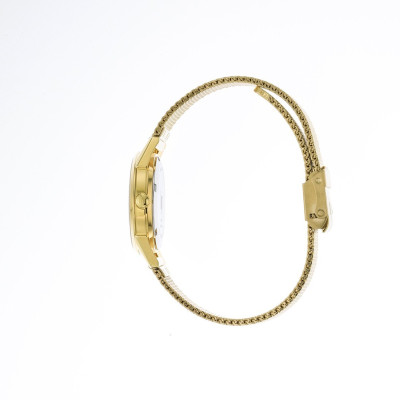 LIP HIMALAYA 29 MM DORÉ