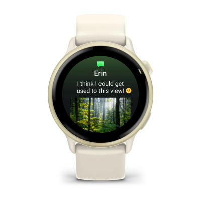 MONTRE GARMIN VIVOACTIVE6 42MM
