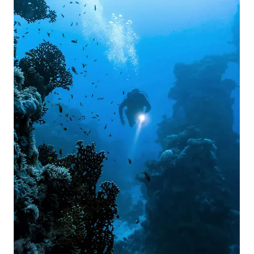 Vue complète de la Montre Bell & Ross BR-03 Diver Blue Steel