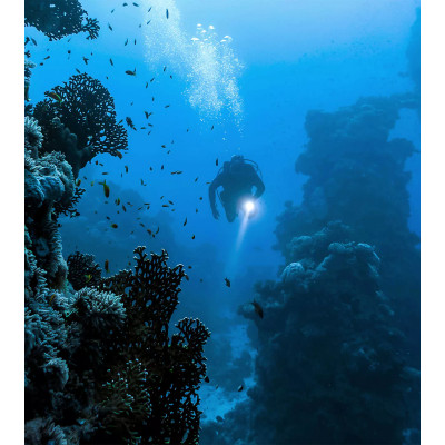 MONTRE BELL & ROSS BR-03 DIVER BLUE STEEL