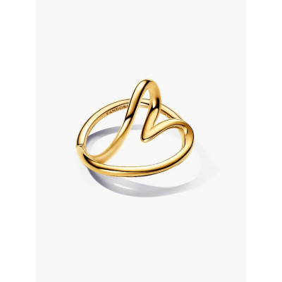 Image montrant la totalité de la