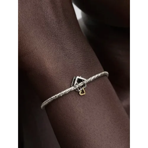 Photo présentant l’intégralité de la Pandora Charm Maison et Cœur