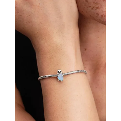 Photo présentant l’intégralité de la Pandora Charm Phoque