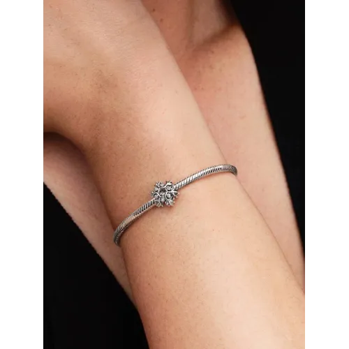 Photo présentant l’intégralité du Charm Flocon de Neige