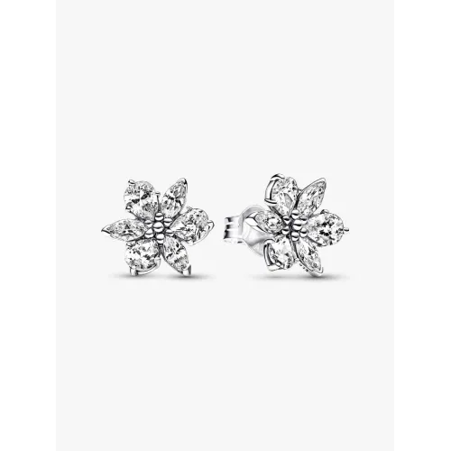 Photo présentant l’intégralité de la Clous d’Oreilles Herbier Scintillant