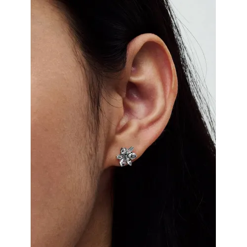 Photo présentant l’intégralité de la Clous d’Oreilles Herbier Scintillant