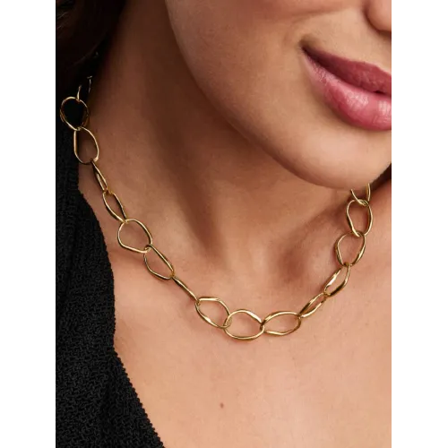 Photo présentant l’intégralité de la Pandora Collier Link de Forme Organique