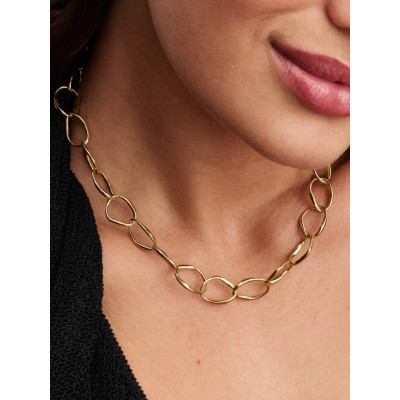 Gros plan de the Pandora Collier Link de Forme Organique