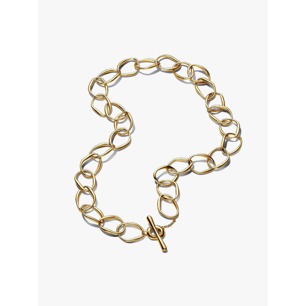 Photo présentant l’intégralité de la Pandora Collier Link de Forme Organique