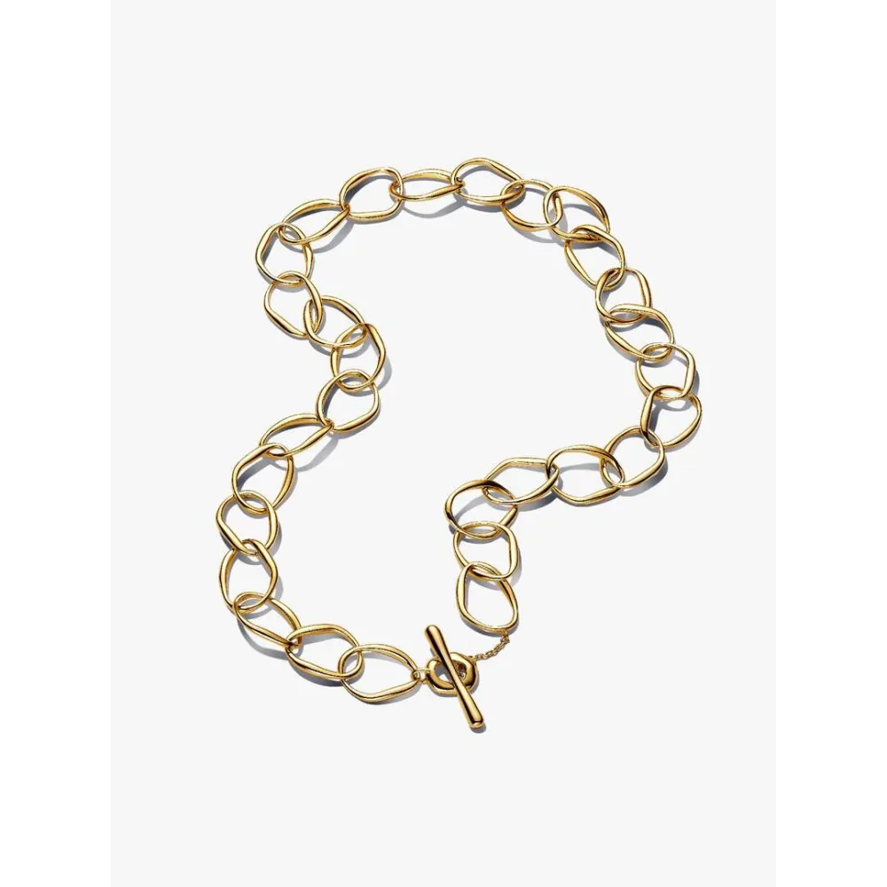 Photo présentant l’intégralité de la Pandora Collier Link de Forme Organique