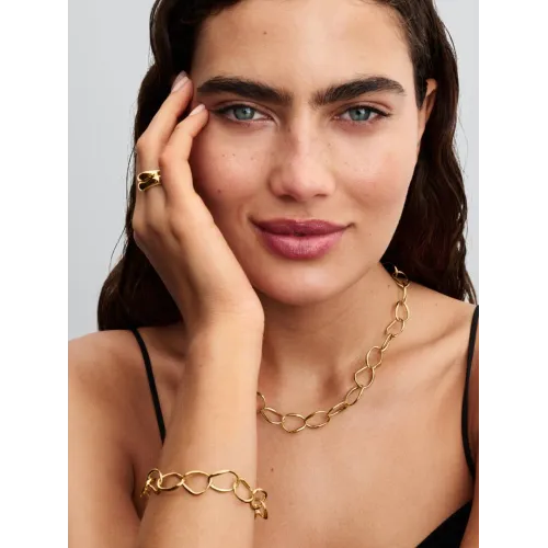 Photo présentant l’intégralité de la Pandora Collier Link de Forme Organique