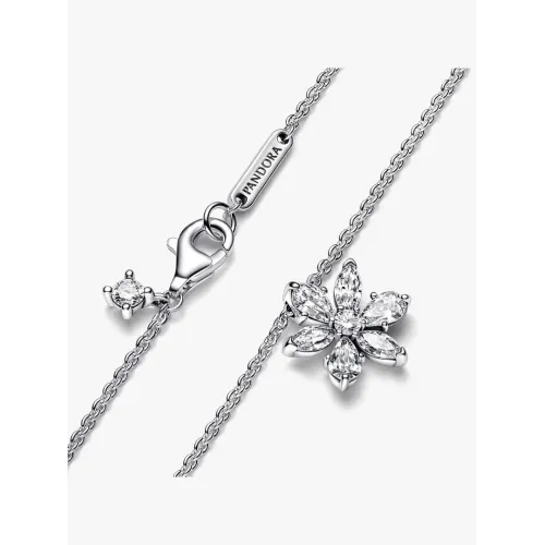 Photo présentant l’intégralité de la Pandora Collier à Pendentif Herbier Scintillant