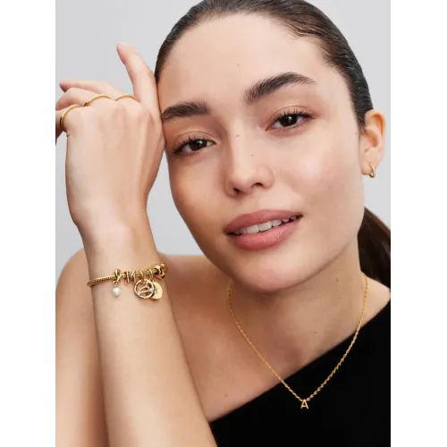 Photo présentant l’intégralité de la Bracelet Maille Serpent Fermoir Cœur Pandora Moments