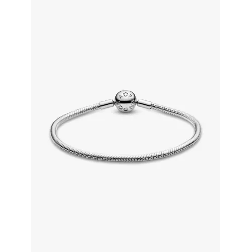 Photo présentant l’intégralité de la Bracelet Maille Serpent Moments