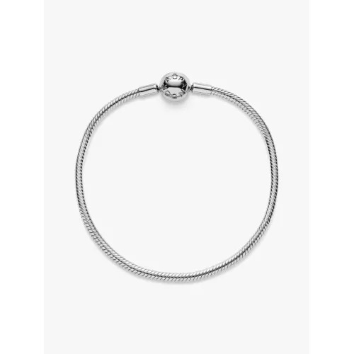 Photo présentant l’intégralité de la Bracelet Maille Serpent Moments