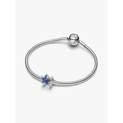 Visuel illustrant l’ensemble du Mini Charm Étoile De Mer Colorée