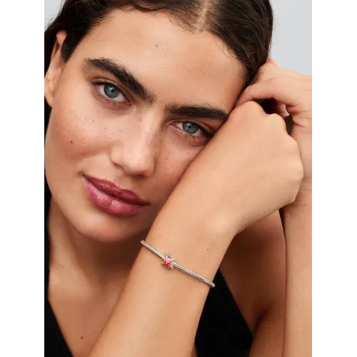 Image montrant la totalité du Mini Charm Étoile De Mer Colorée