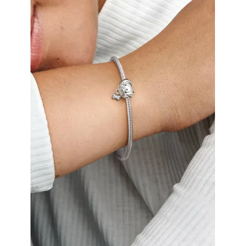 Photo présentant l’intégralité du Charm Chien & Os