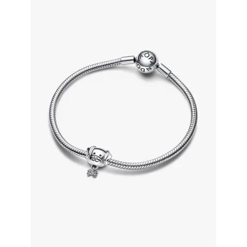 Photo présentant l’intégralité du Charm Chien & Os