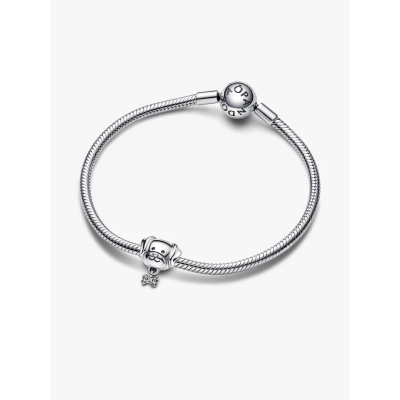 Visuel illustrant l’ensemble du Charm Chien & Os