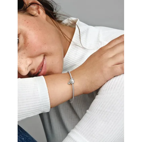 Photo présentant l’intégralité du Charm Chien & Os