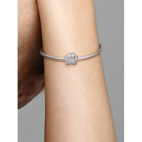 Photo présentant l’intégralité de la Charm Empreinte de Patte Scintillan