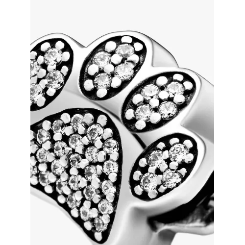 Photo présentant l’intégralité de la Charm Empreinte de Patte Scintillan