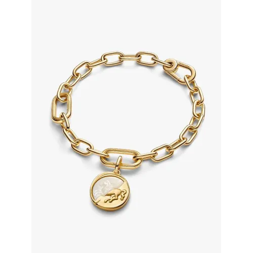 Photo présentant l’intégralité de la Charm Médaillon Pégase