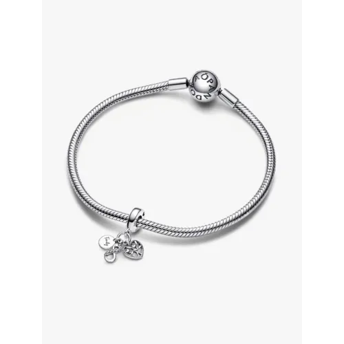 Photo présentant l’intégralité de la Charm Verre De Murano Rose Encerclé