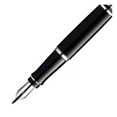 Photo en gros plan montrant la pointe de précision du Waterman Expert Black CT stylo-plume.