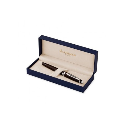 Waterman plume expert laque noir ct