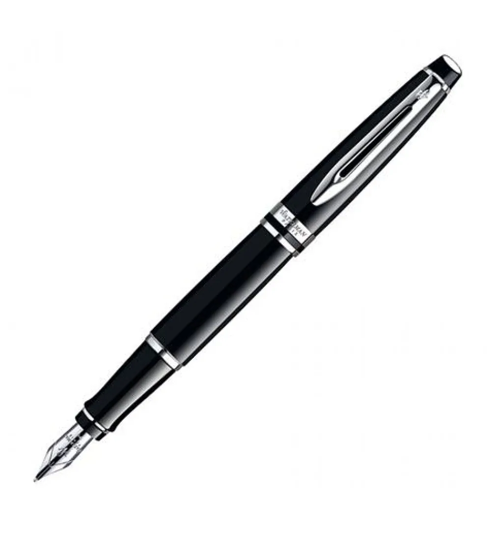 Waterman plume expert laque noir ct