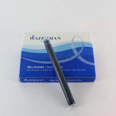 Waterman plume expert laque noir ct