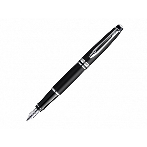 Photo montrant la silhouette complète du Waterman Expert Matt Black CT stylo-plume.