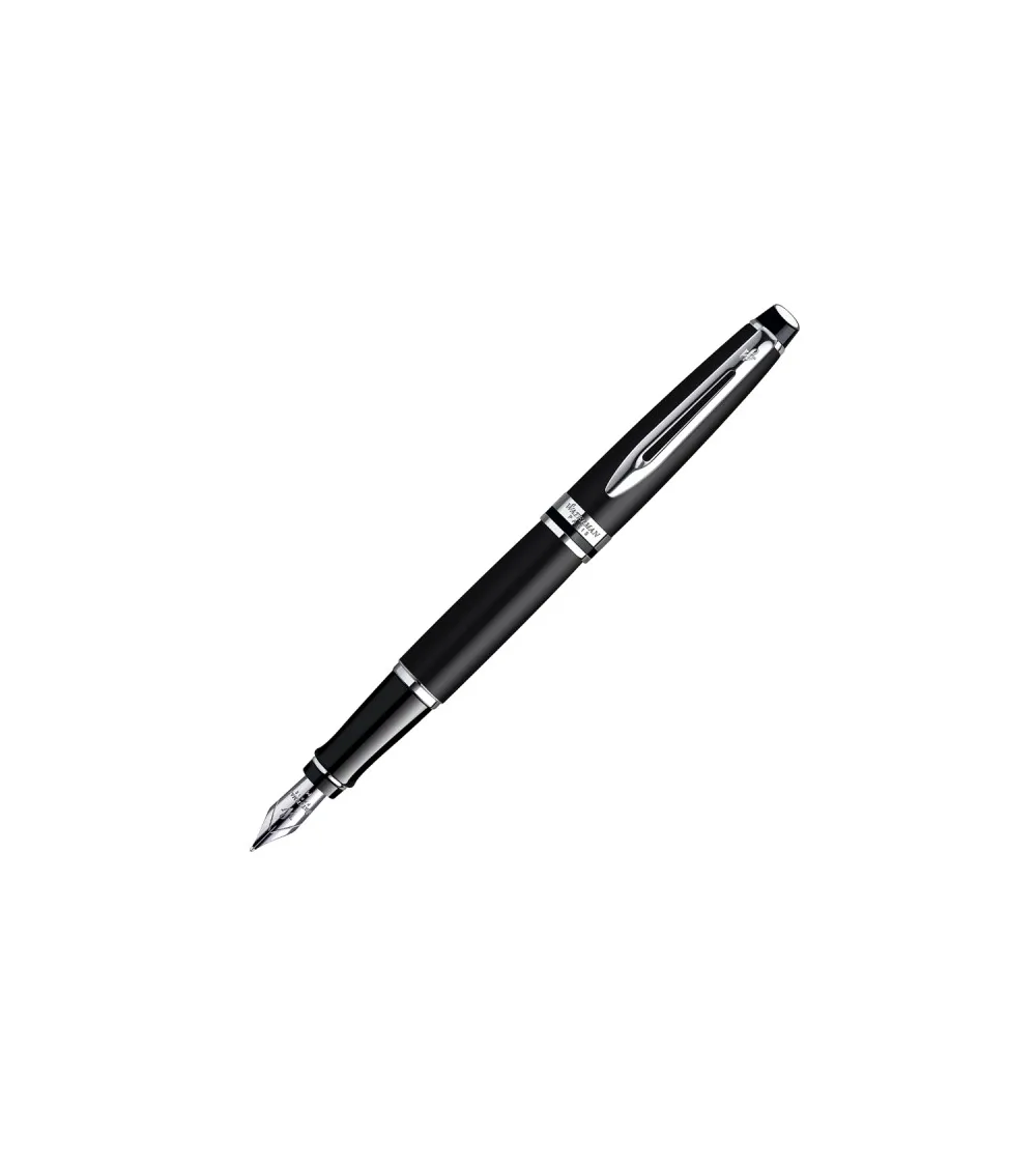 Photo montrant la silhouette complète du Waterman Expert Matt Black CT stylo-plume.